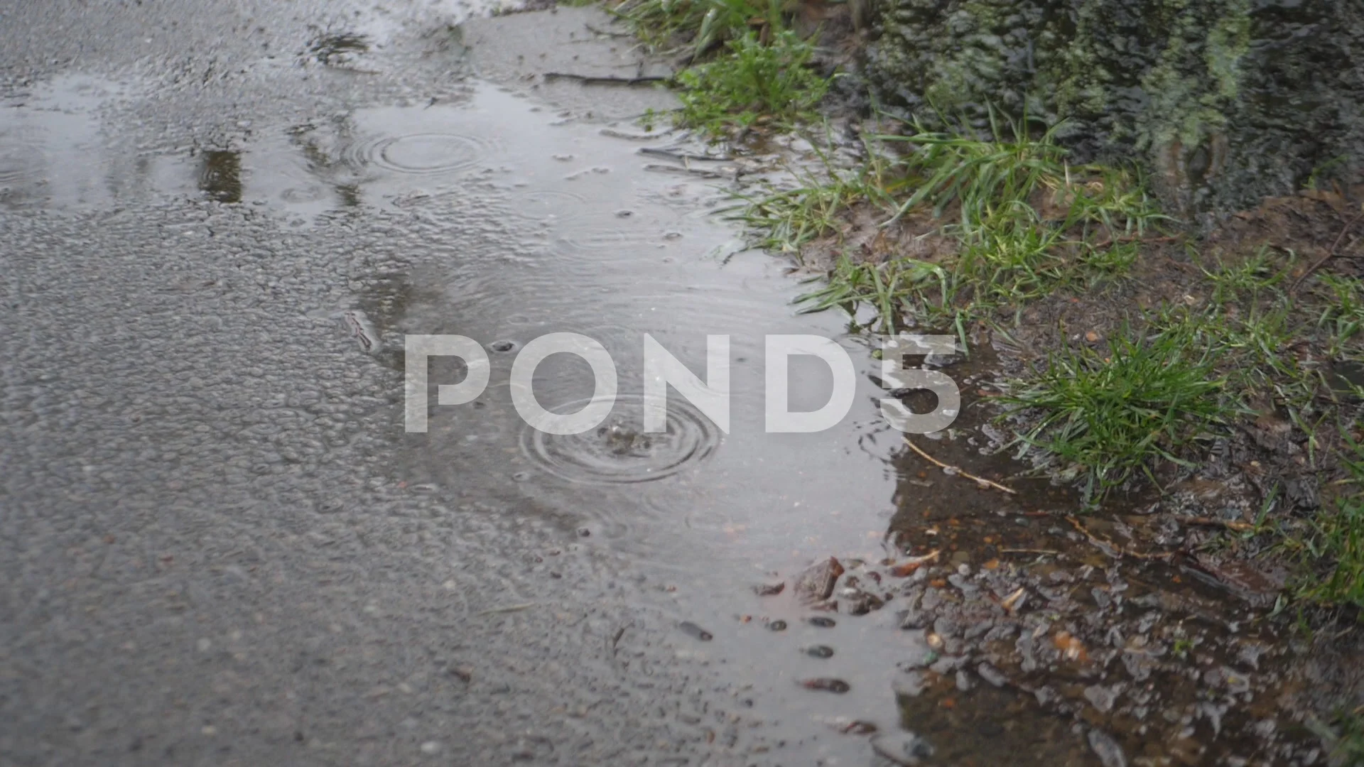 rain puddle on sidewalk