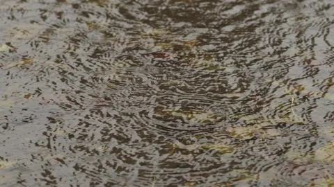 Rain drops falling into puddles on asphalt Stock Footage 253572525