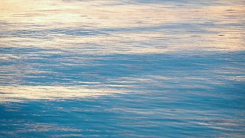 Rain drops falling in river ripple blue color water. Vídeo Stock 244541718