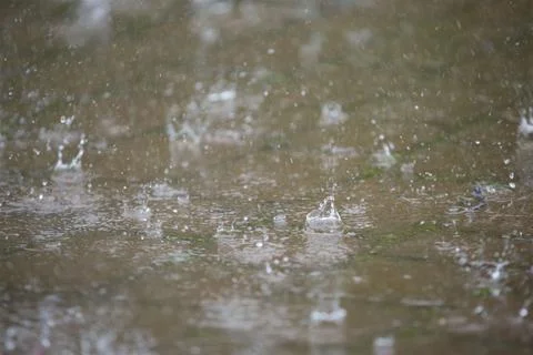 Rain drops falling on the road. Stock Photos