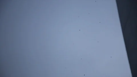 Rain drops falling from roof. Video stock 96193980