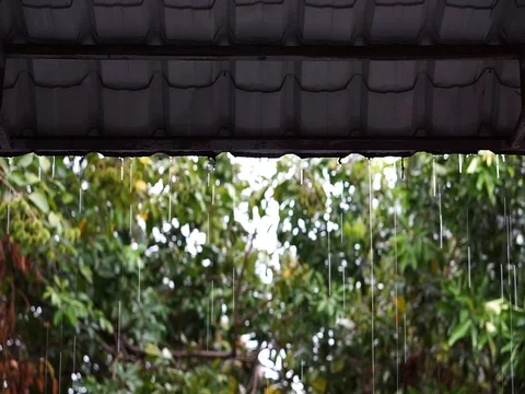 Rain drops falling from roof's with blurred background. Stock Footage 91123898
