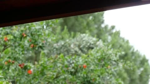 Rain drops falling from roof's eave during rain. Foto stock