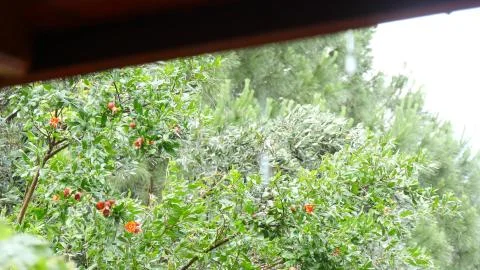 Rain drops falling from roof's eave during rain. Stock Photos
