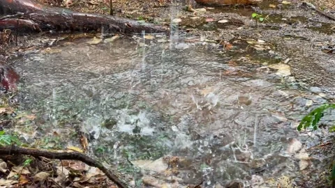 Rain drops falling from the sky on ground Видео 135847807