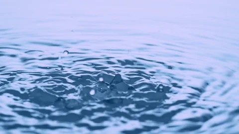 Rain Drops Falling in Slow Motion - Droplets Hitting a Water Surface Stock Footage 83842211