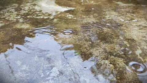 Rain drops falling into small puddle on wet mossy concrete ground creating .. Видео 343428765
