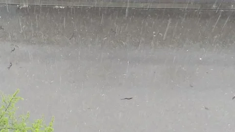 Rain Drops Falling On The Street Stock Footage 154900341