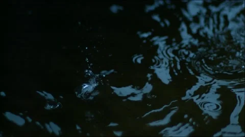 Rain drops falling in super slow motion Video stock 65470245