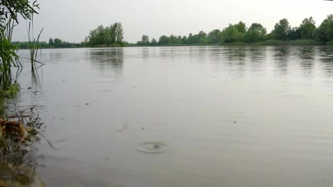 Rain drops falling on surface of calm lake in Bela Crkva, Serbia Stock Footage 268416995