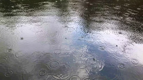 Rain Drops Falling on The Surface of The Lake. Stock-Footage 107456765