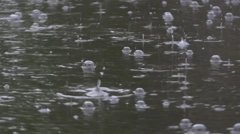 Rain drops falling in the water and create bubbles, downpour close up, 4k. Stock Footage 53747666