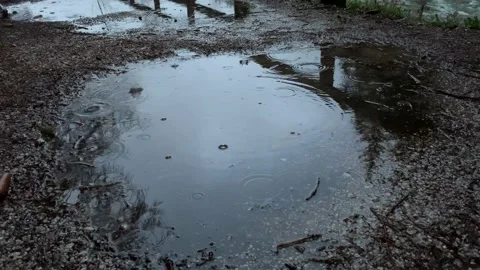Rain drops falling into a water puddle in the nature Video stock 146009718