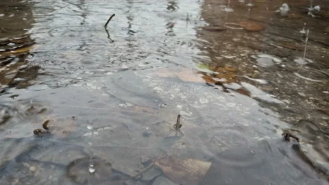 Rain drops falling on a water puddle during a rainy winter day,weather condition Stock Footage 168901598