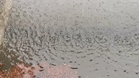 Rain drops falling on a water puddle during a rainy winter day Video stock 231308206