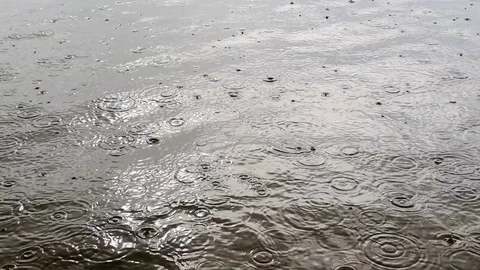 Rain drops falling on water surface slow motion Stock Footage 84984203