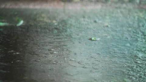 Rain drops falling onto wet asphalt during autumn weather creating moody Stock Footage 323603874