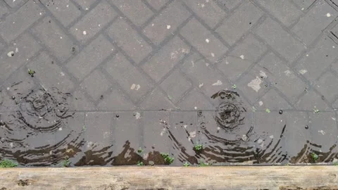 Rain Drops Falling on Wet Paving Block Surface Stock Footage 323341188
