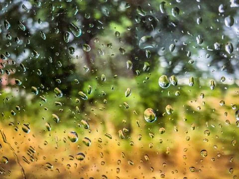 Rain drops falling on the window with trees in the background Stock Photos