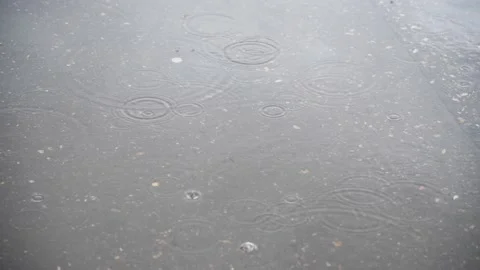 Rain drops falls on puddle Stock Footage 203783124