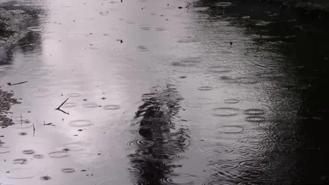 Rain Drops (Far) Stock Footage 154557512
