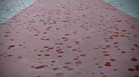 Rain drops on the floor Stock Footage 49565130