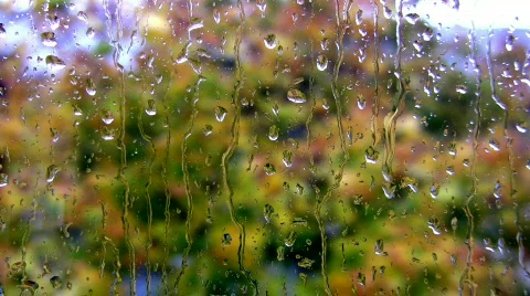 Rain Drops Stock Footage 281176