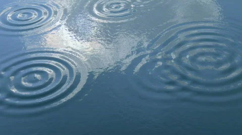 Rain drops Video stock 316247