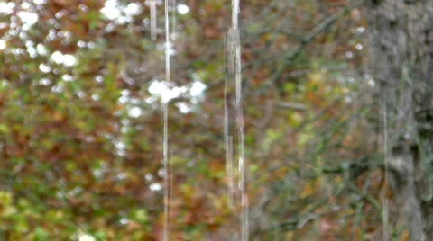 Rain drops Stock Footage