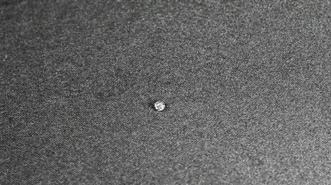 Rain Drops Stock Footage 550199