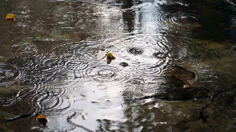 Rain Drops Stock Footage 8540558