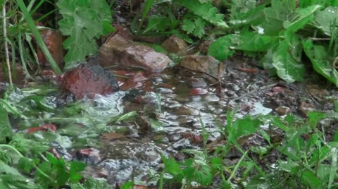 Rain drops Video stock 8776896