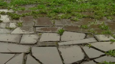 Rain drops Stock-Footage 10758597