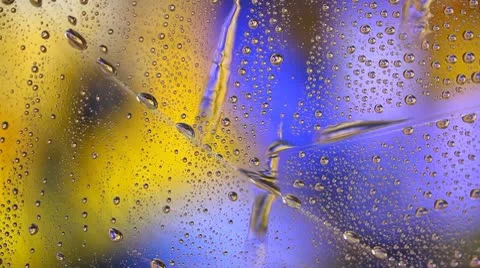 Rain drops Stock Footage 10785977