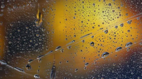 Rain drops Stock Footage 10786052