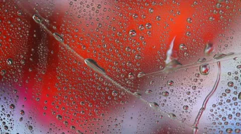 Rain drops Stock Footage 10786679