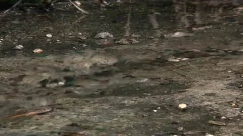 Rain Drops Видео 10890734