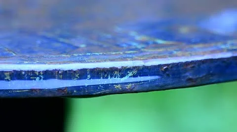 Rain Drops Stock Footage 10919189