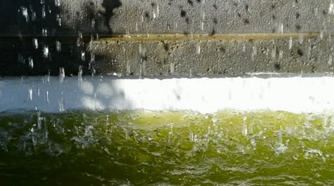 Rain drops 動画素材 10991806