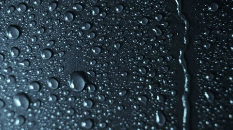Rain drops Stock Footage 24007515