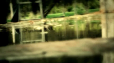 Rain-drops. Stock Footage 24088707