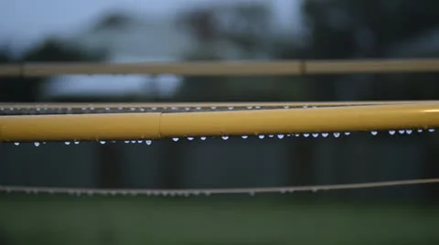 Rain drops Stock Footage 24631941