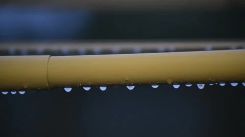 Rain drops Stock Footage 24632049