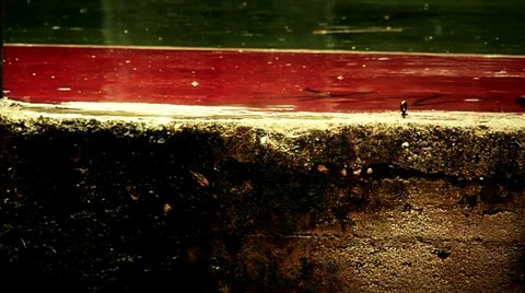 Rain drops Video stock 33702786