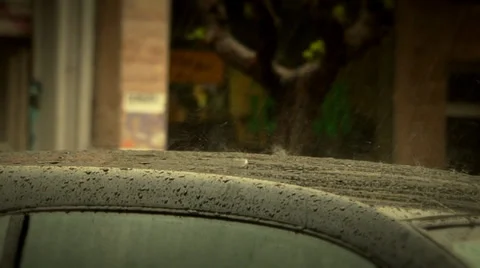 Rain drops Stock Footage 37576815