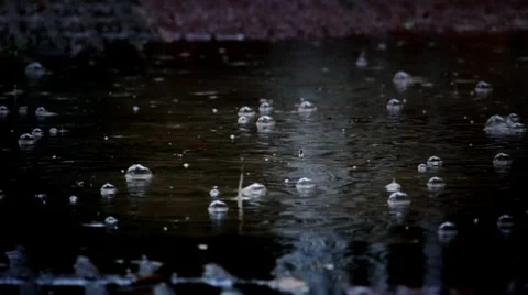 Rain drops Stock Footage 37577532