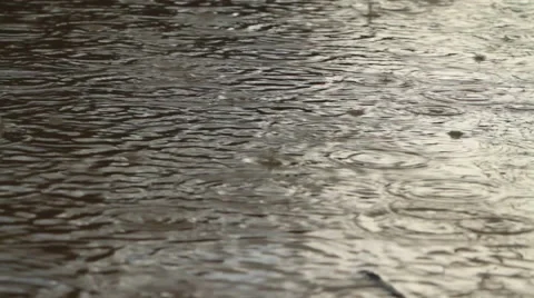 Rain drops Stock Footage 46805790