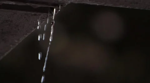 Rain drops Stock Footage 46805895