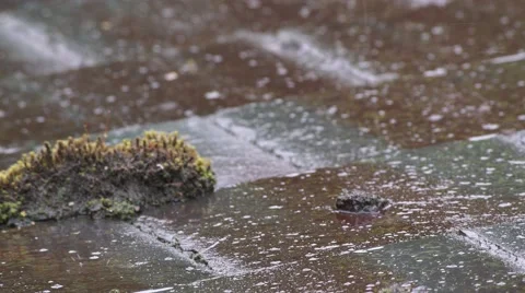 Rain drops 動画素材 53881505