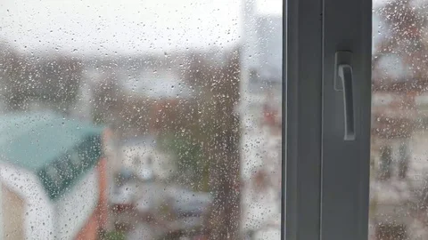 Rain drops Stock Footage 69113860